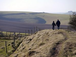 Un père et son fils marchent ensemble, côté à côte dans le nature. Ils parlent ensemble, tous les deux.