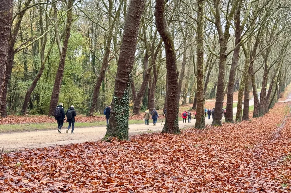 Marche pour la journée des papas Une journée en pleine aire